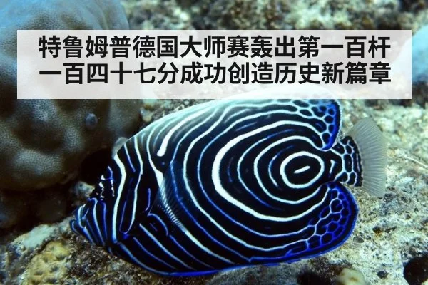 特鲁姆普德国大师赛轰出第一百杆一百四十七分成功创造历史新篇章
