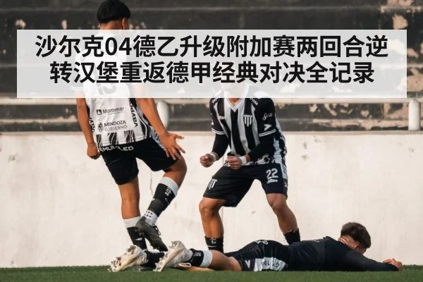 沙尔克04德乙升级附加赛两回合逆转汉堡重返德甲经典对决全记录