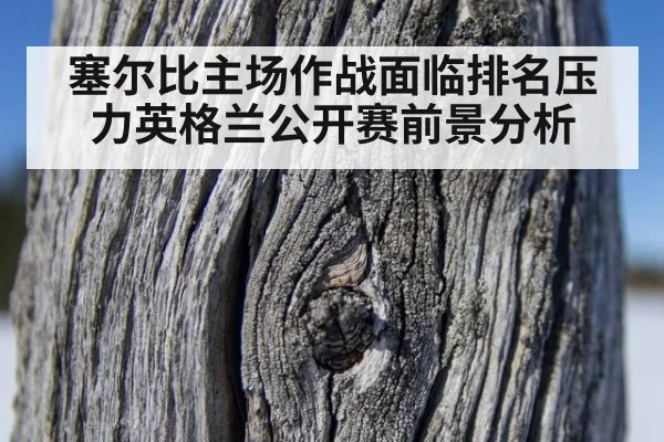 塞尔比主场作战面临排名压力英格兰公开赛前景分析